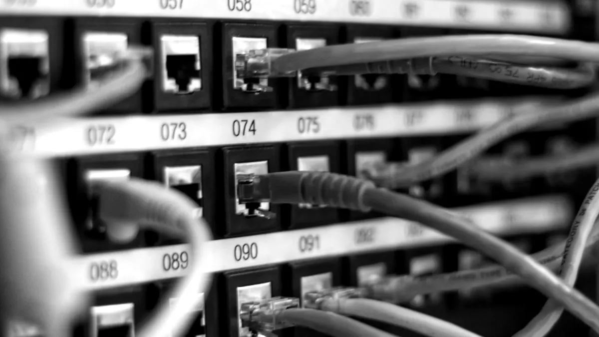 Patchpanel mit Netzwerkkabeln – Symbolbild für Schnittstellen und Datensynchronisation